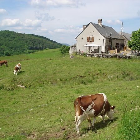 Chez Marraine Villa Sauvat Dış mekan fotoğraf