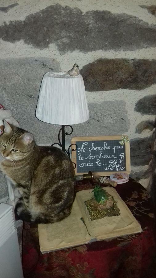 Chez Marraine Villa Sauvat Dış mekan fotoğraf